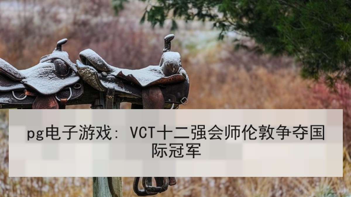 pg电子游戏: VCT十二强会师伦敦争夺国际冠军