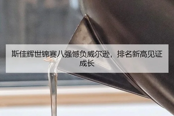 si-jia-hui-shi-jin-sai-ba-qiang-han-fu-wei-er-xun-pai-ming-xin-gao-jian-zheng-cheng-zhang-3-305.jpg